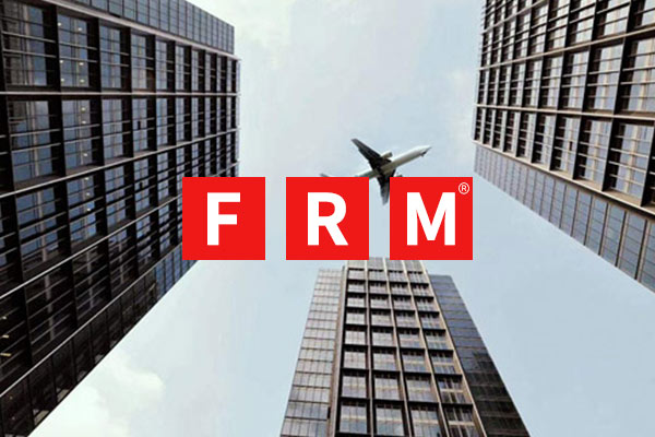 frmhandbook是什么？中文版有吗？_高顿教育