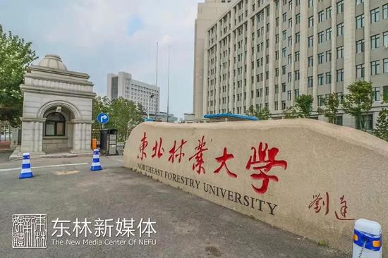 门太多师生分不清楚东北林大16个校门打包征名