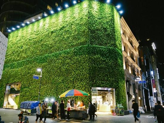 图注:自然乐园明洞店