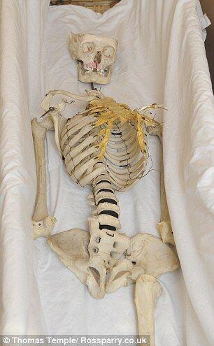 英高中为真人教学骨架举办迟来的葬礼