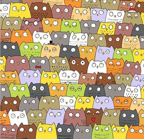 考眼力快找一大堆猫头鹰里有一个叛徒