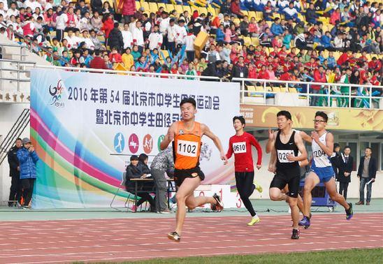 初中学习网站：开启智慧之旅的新航标