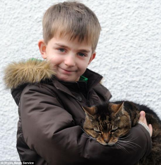 资料图:英国39岁世上最老猫 相当于人172岁cat lucy is thought to be