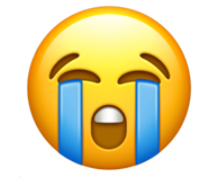 loudly crying face 伤心哭泣