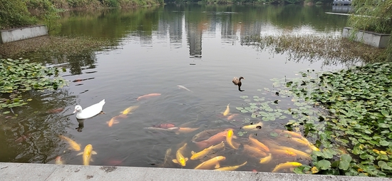 王威喜欢的校园风景  受访者供图