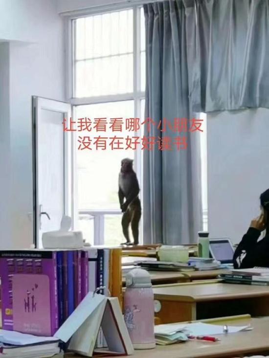 学生制作的表情包。受访者供图