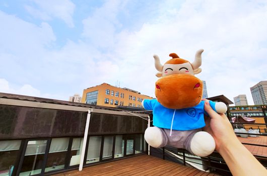 税务师考试时间