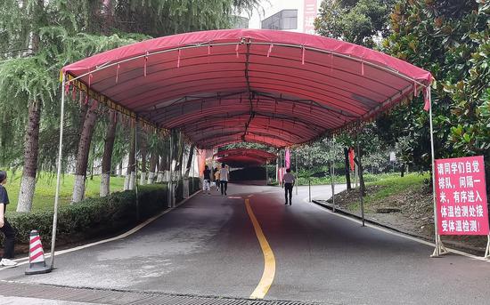 检测点需要步行一段路程,经过绿化后,这段此前的马路也改造成了林荫路