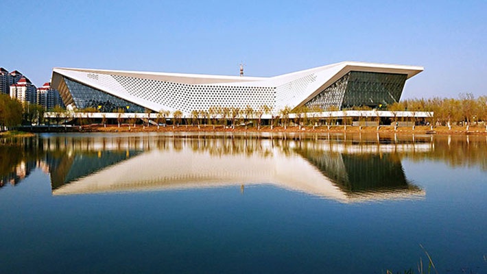 哈尔滨工业大学天津大学香港城市大学首都医科大学香港恒生大学对外