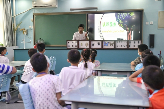 在课堂上老师教学生们认识昆虫。图/新京报记者 王飞 摄