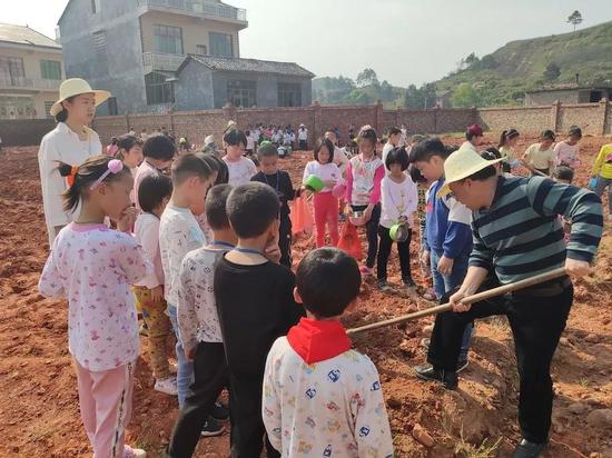 学生在菜地上课