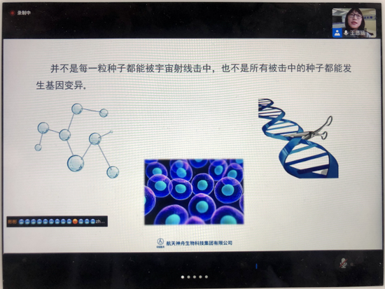 北京孩子寒假怎么过：静静的校园 热闹的空中课堂