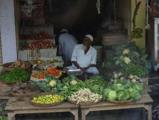 印度的青菜都非常小，看萝卜，黄瓜，非常小根。土豆每公斤10卢比，相当于1元人民币;包菜一个15卢币(1.5RMB)黄瓜最便宜，七根只要十卢币(约1元RMB)。