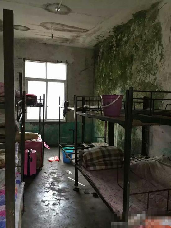 中学宿舍墙壁长满青苔引吐槽发挥艰苦美德
