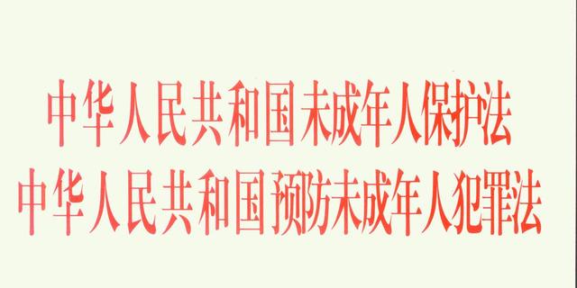 未成年人保护法保护了谁