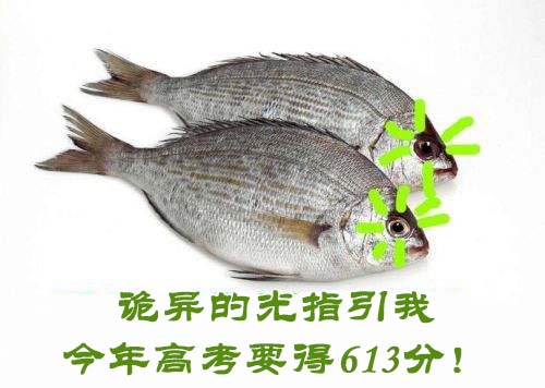 作者揭秘答题套路|高考|草鱼|诡异的光_新浪教育_新浪网