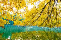 同济校花置身麦田神情陶醉