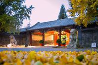 同济校花置身麦田神情陶醉