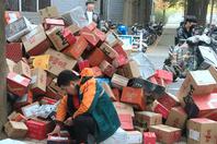 同济校花置身麦田神情陶醉