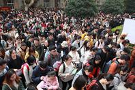 同济校花置身麦田神情陶醉