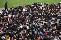 同济校花置身麦田神情陶醉