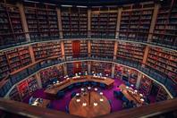 同济校花置身麦田神情陶醉