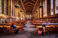 同济校花置身麦田神情陶醉