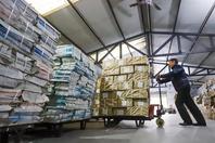 同济校花置身麦田神情陶醉