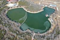 同济校花置身麦田神情陶醉