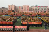 同济校花置身麦田神情陶醉