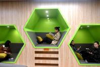 同济校花置身麦田神情陶醉