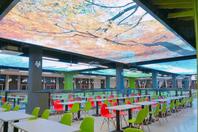 同济校花置身麦田神情陶醉