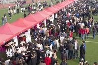 同济校花置身麦田神情陶醉