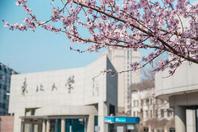 同济校花置身麦田神情陶醉