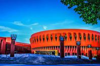 同济校花置身麦田神情陶醉