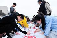 同济校花置身麦田神情陶醉