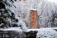 同济校花置身麦田神情陶醉