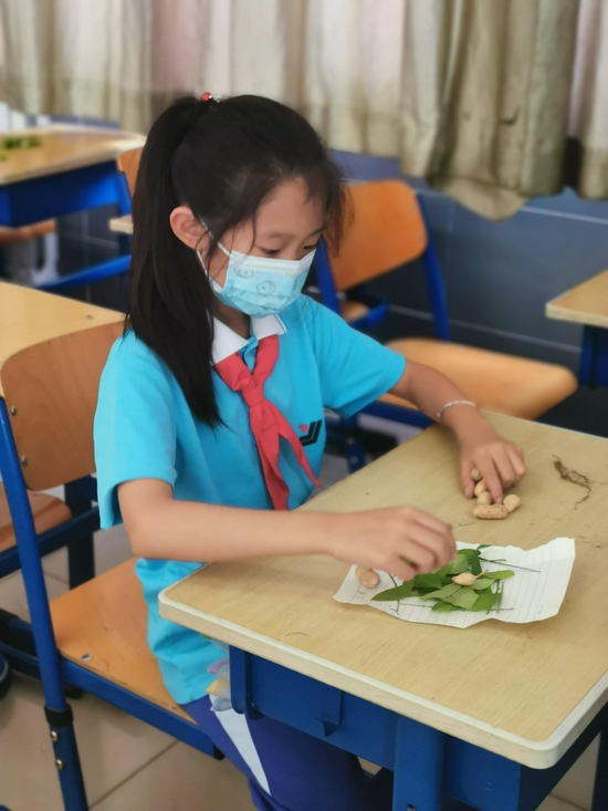 学生整理劳动果实。图/北京市京源学校小学部