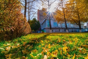 毕业设计“跨界成团” 新工科让学生“乘风破浪”