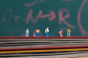 怀柔区2024年义务教育阶段入学工作的意见政策解读