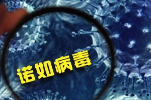 48人染诺如病毒 幼儿园卫生不能留盲区