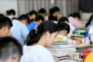 各区各校“配套餐”护航志愿填报