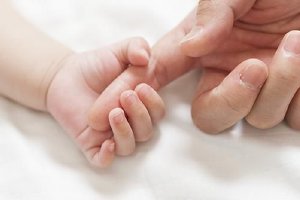 韩媒:“韩国奶爸”人数创新高