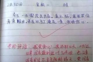 妈妈这个物种令我怜惜 看看这篇作文