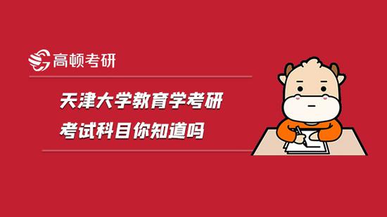 天津大学教育学考研考试科目你知道吗