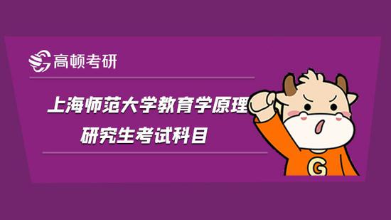 上海师范大学教育学原理研究生考试科目