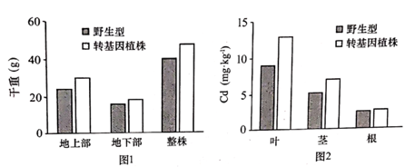 2021年河北高考生物真题