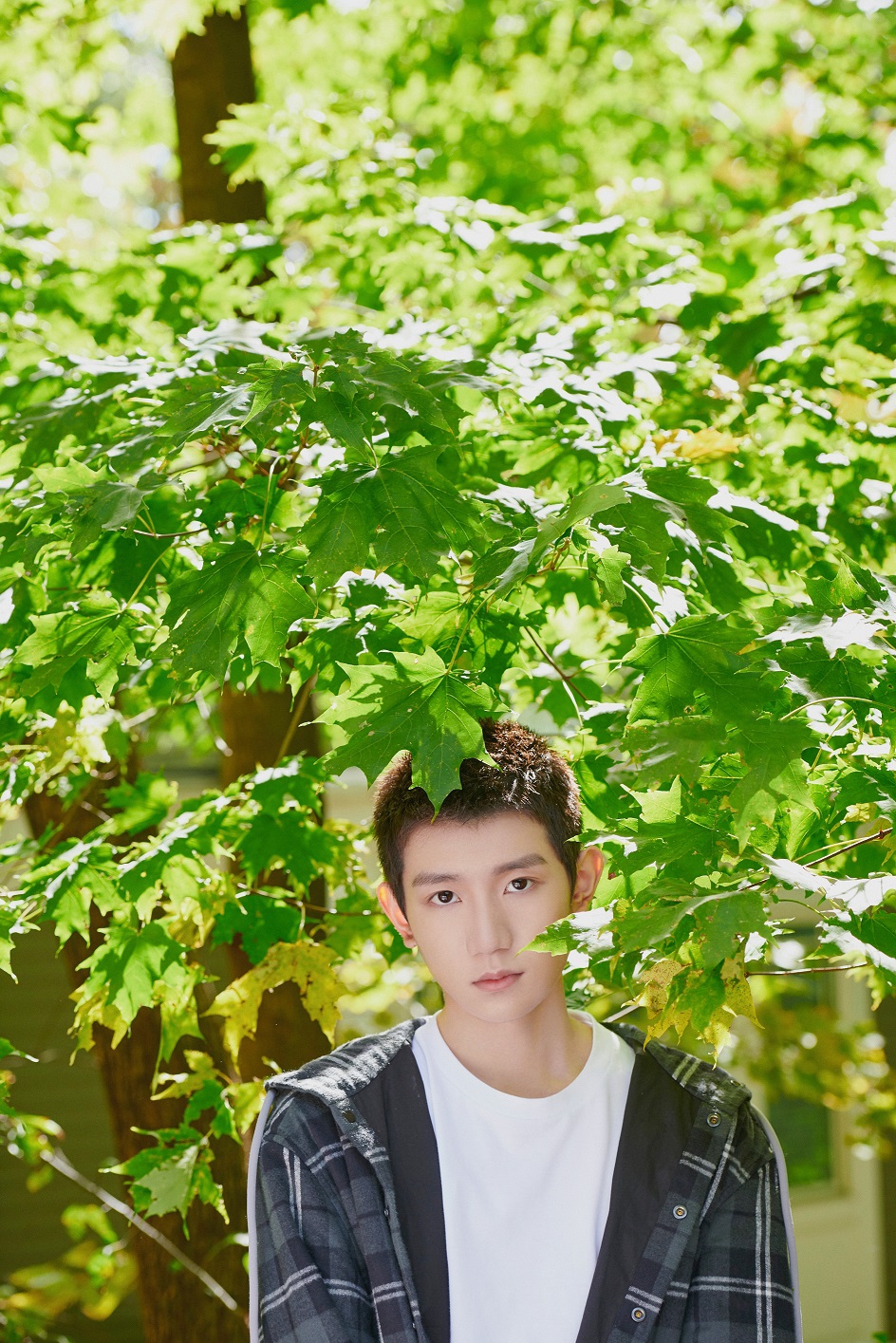 王源身穿绿色格纹外套 清新演绎别样少年魅力