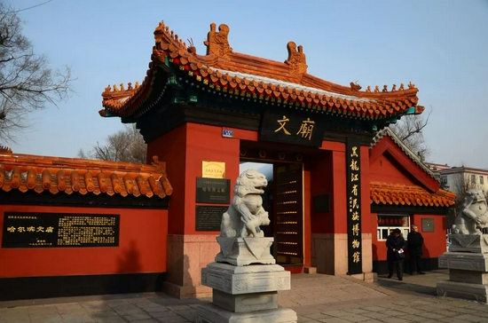这个冬天 我劝你一定要去一次哈尔滨
