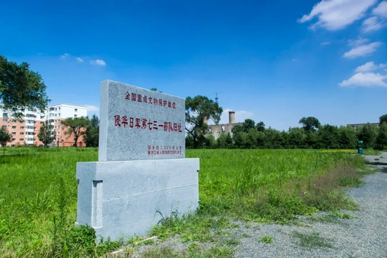 这个冬天 我劝你一定要去一次哈尔滨